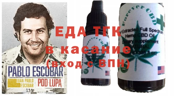ГАЛЛЮЦИНОГЕННЫЕ ГРИБЫ Заводоуковск