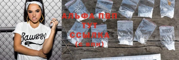 ГАЛЛЮЦИНОГЕННЫЕ ГРИБЫ Заводоуковск