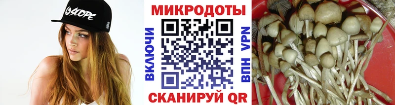 Псилоцибиновые грибы Psilocybe  Чулым 
