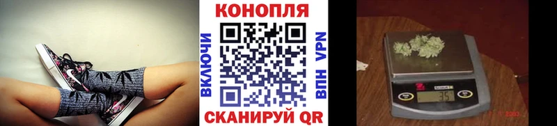 OMG маркетплейс Чулым Конопля White Widow